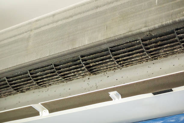 Best Residential Air Duct Cleaning  in Lakemore, OH