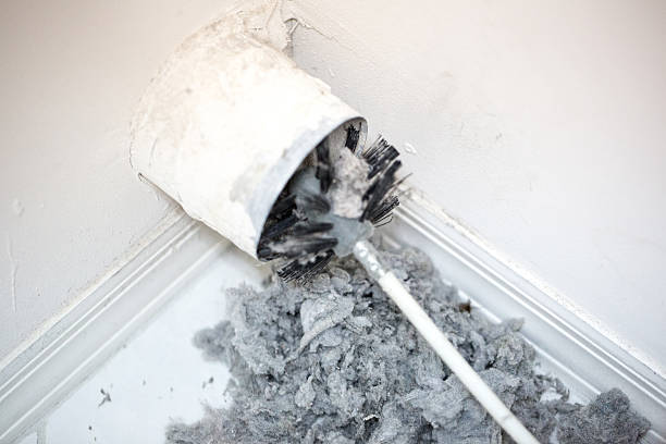 Best Ductwork Cleaning Services  in Lakemore, OH
